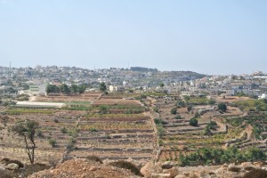 The village of Halhoul (Seth J. Frantzman)