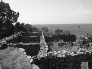 An abandoned village in the Golan; the policies of the 1950s were repeated in 1967 (Seth J. Frantzman)