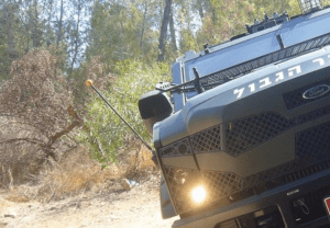 The 'Sand Cat' (Seth J. Frantzman)