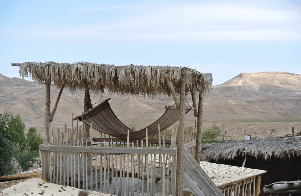 Screen Shot 2016-02-14 at 12.16.56 PM