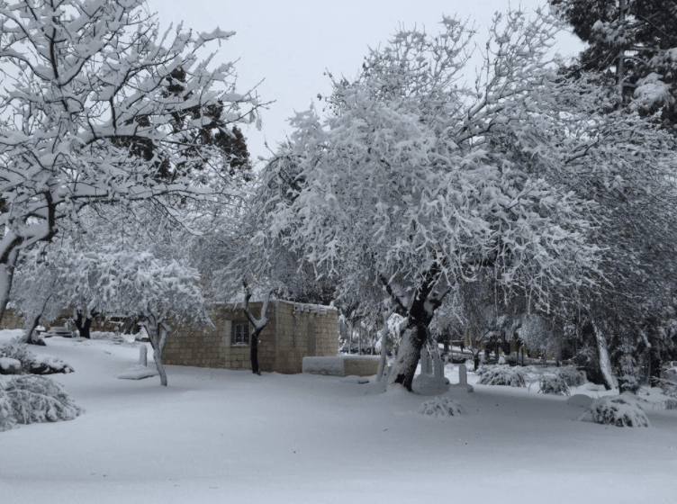 Screen Shot 2017-08-13 at 10.34.08 PM.png