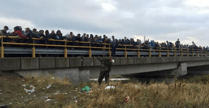 Screen Shot 2018-10-21 at 11.13.15 AM.png